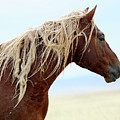 Braided by Nature